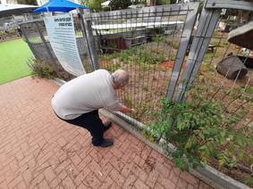 M. trying to caress a cat.
