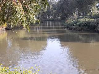 Yarkon River